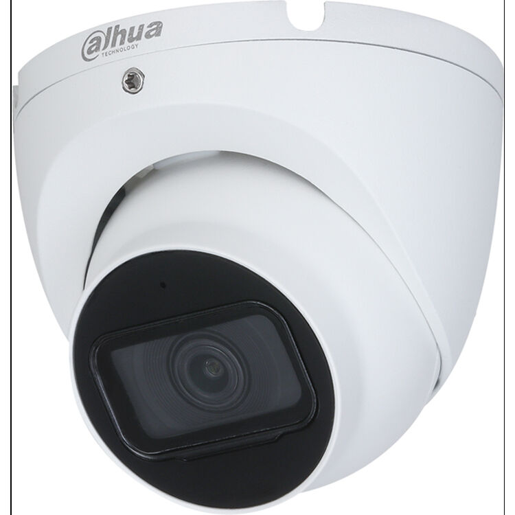 Dahua A21BJ02 2MP Eyeball Security Camera
