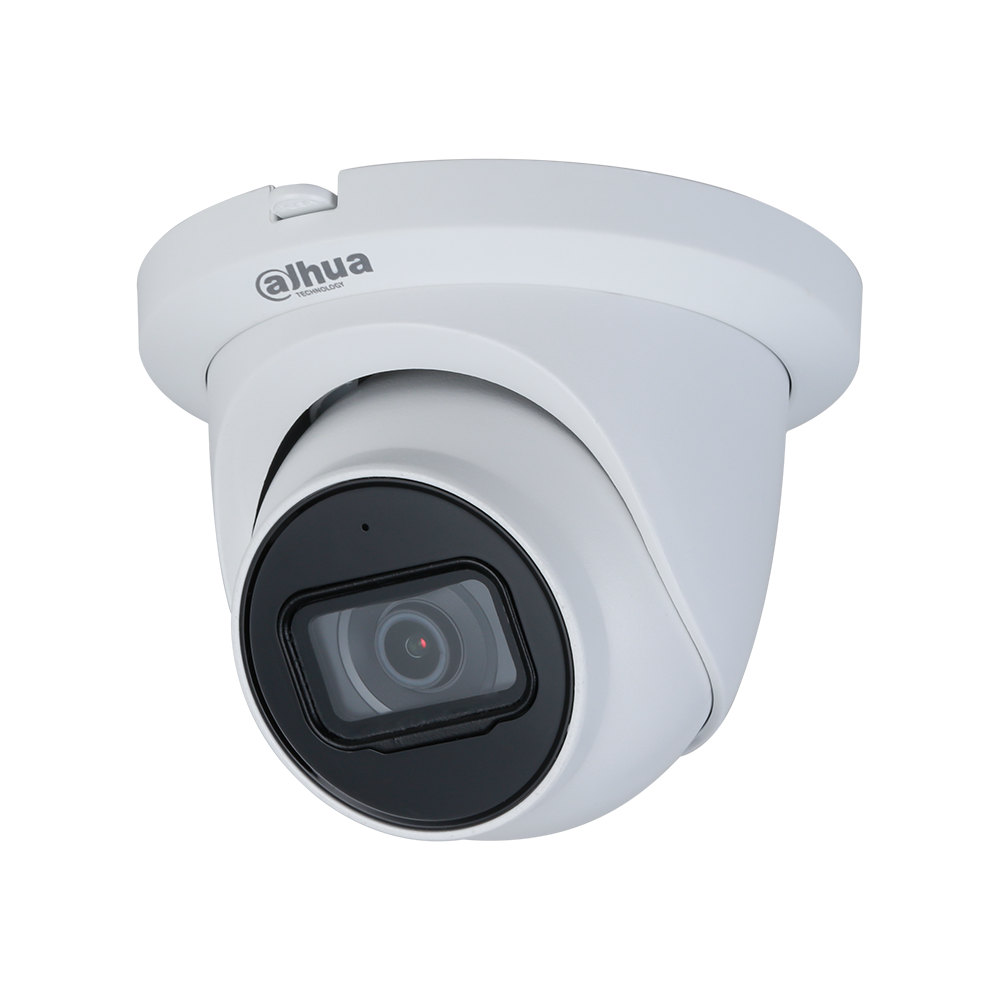 Dahua N43CG62 4MP Eyeball Security Camera