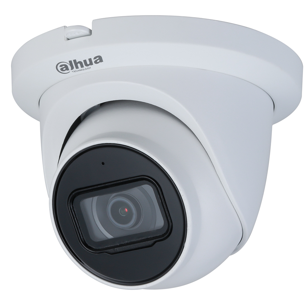 Dahua N42BJ62 4MP Eyeball Security Camera
