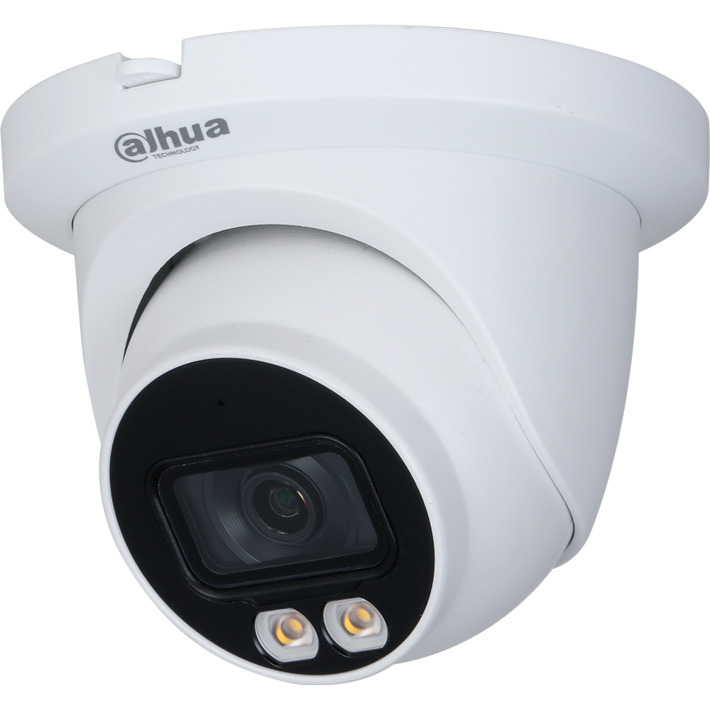 Dahua N45EJN2 4MP Eyeball Security Camera