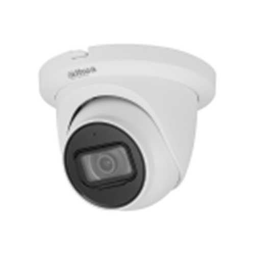 Dahua N45FJ62 4MP Eyeball Security Camera